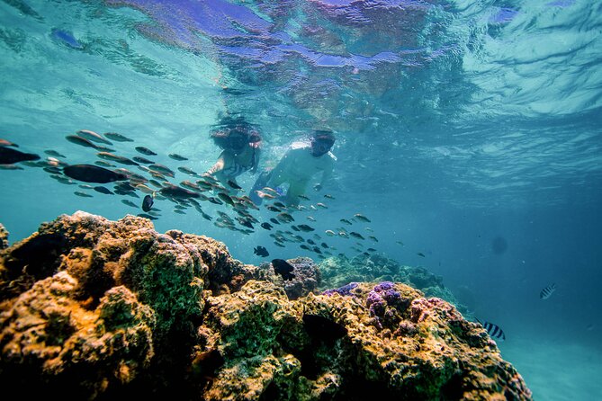 LUXURY PRIVATE Catamaran Bora Bora : Full-Day Trip - Who will enjoy this most
