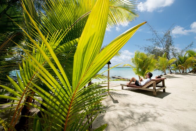Luxury Private full day tour & Motu lunch in Bora-Bora - Weather, cancellations, and planning the day