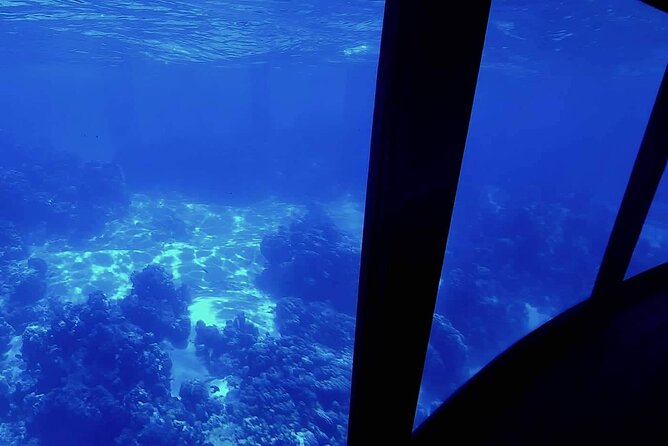 Magical Boat Tour with Underwater Cabin in Bora Bora! - Key points to know before booking