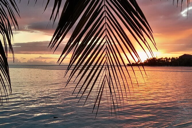 Magical Boat Tour with Underwater Cabin in Bora Bora! - Is $210.10 per person good value?