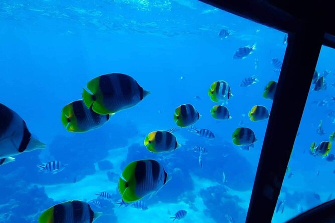 Magical Boat Tour with Underwater Cabin in Bora Bora! - Weather, cancellation, and practical planning