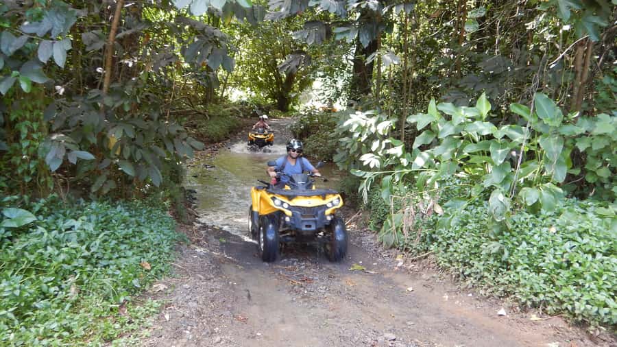 Mo'orea: Guided ATV Nature Tour - Key points to know before booking