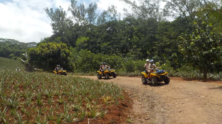 Mo'orea: Guided ATV Nature Tour - Why an ATV is a smart way to see Mo’orea