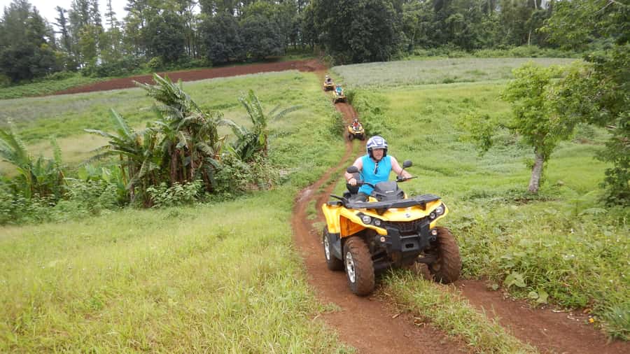 Mo'orea: Guided ATV Nature Tour - Pineapple fields, plantations, and island life