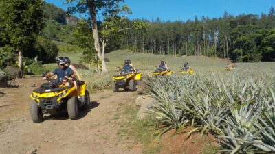 Mo’orea: Guided ATV Nature Tour