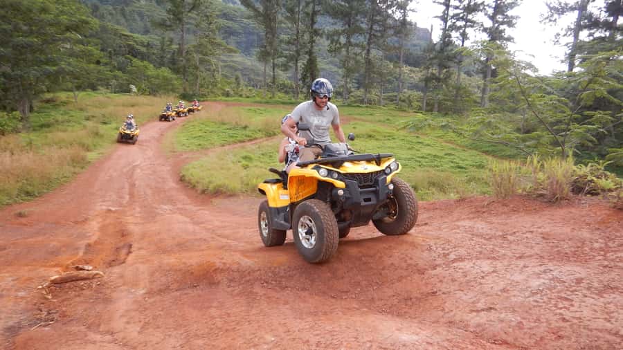 Mo'orea: Guided ATV Nature Tour - The Belvedere view over two famous bays