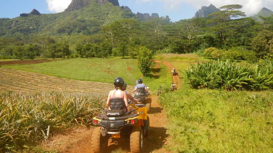 Mo'orea: Guided ATV Nature Tour - Who should book this tour?
