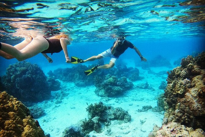 Mo'orea Half Day Private Tour with Snorkeling and Cruising the Lagoon - Key points to know before booking