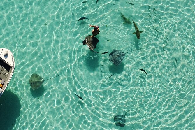 Mo'orea Half Day Private Tour with Snorkeling and Cruising the Lagoon - Cruising Moorea’s less crowded west coast