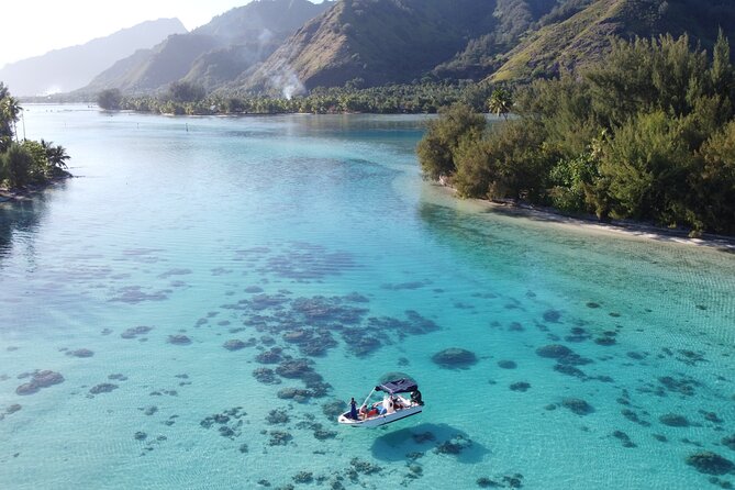 Mo'orea Half Day Private Tour with Snorkeling and Cruising the Lagoon - The secret coral garden