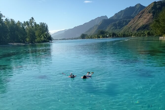 Mo'orea Half Day Private Tour with Snorkeling and Cruising the Lagoon - What the guide adds to the outing
