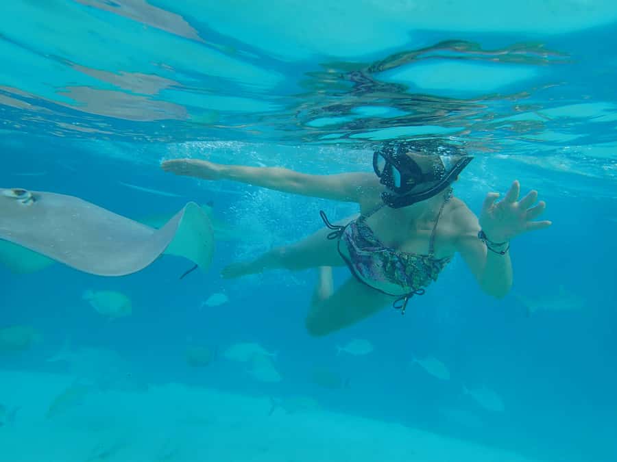 Moorea 4H Shared Boat Tour Whale Swimming and Snorkeling - How the $259 price holds up