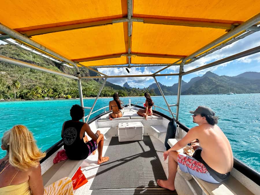 Moorea 4H Shared Boat Tour Whale Swimming and Snorkeling - Pickup from Paopao and selected hotels