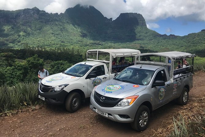 Moorea 4WD Tour Inc. Belvedere, Pineapple Farm, Magic Mountain... - Key points to know before booking