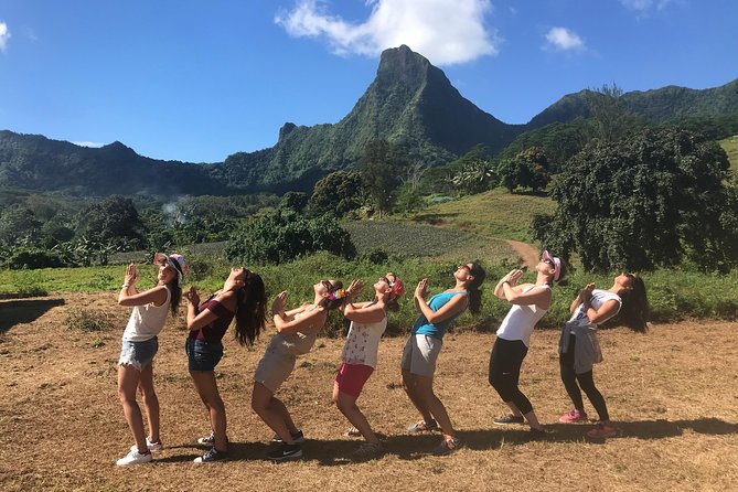 Moorea 4WD Tour Inc. Belvedere, Pineapple Farm, Magic Mountain... - What the open 4WD ride is really like