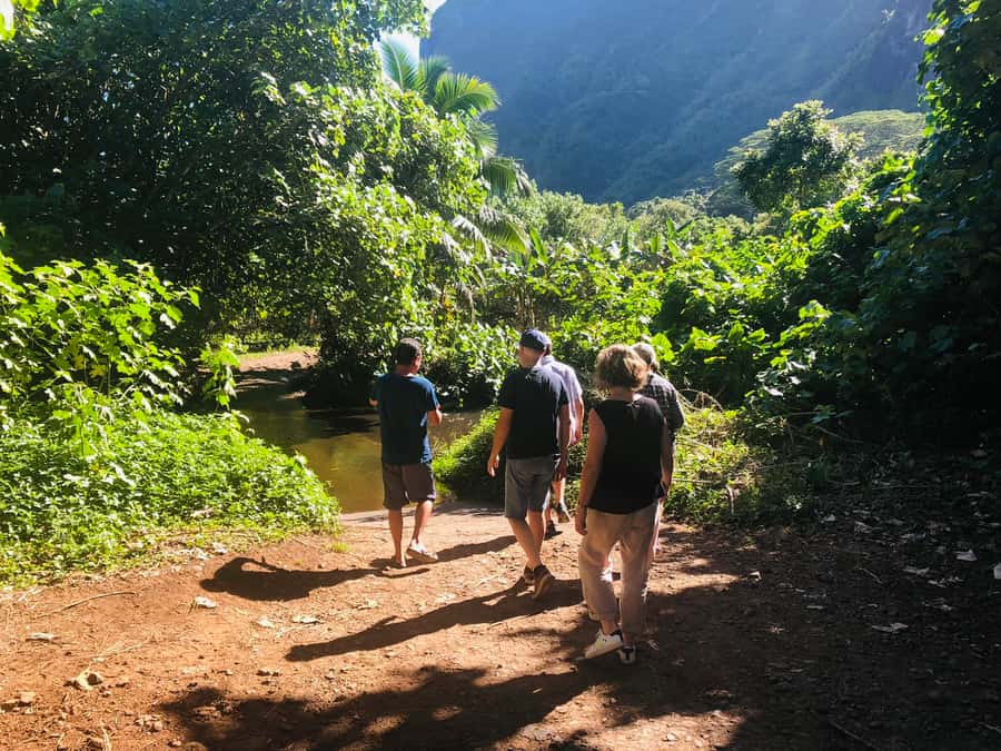 Moorea:4X4 safari excursion between land and sea with lunch - The beach stop is welcome, but not guaranteed to be long