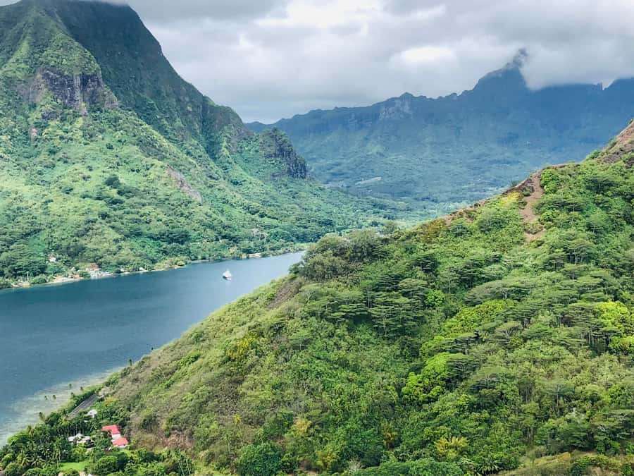 Moorea:4X4 safari excursion between land and sea with lunch - Pearl shopping closes the route