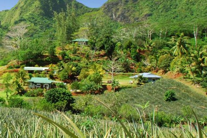 Moorea Aito 4WD Safari Tour - Half day - The rough road to Magical Mountain