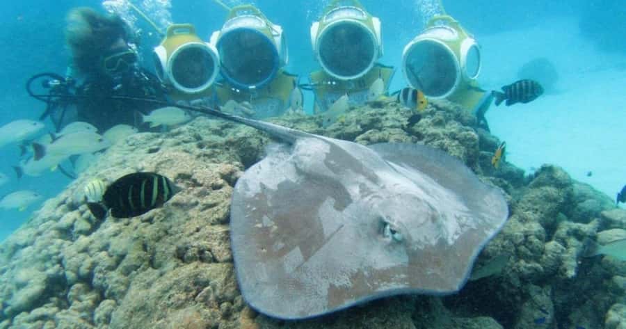 Moorea: Aquablue Helmet Underwater Walking Experience - Key details before you book