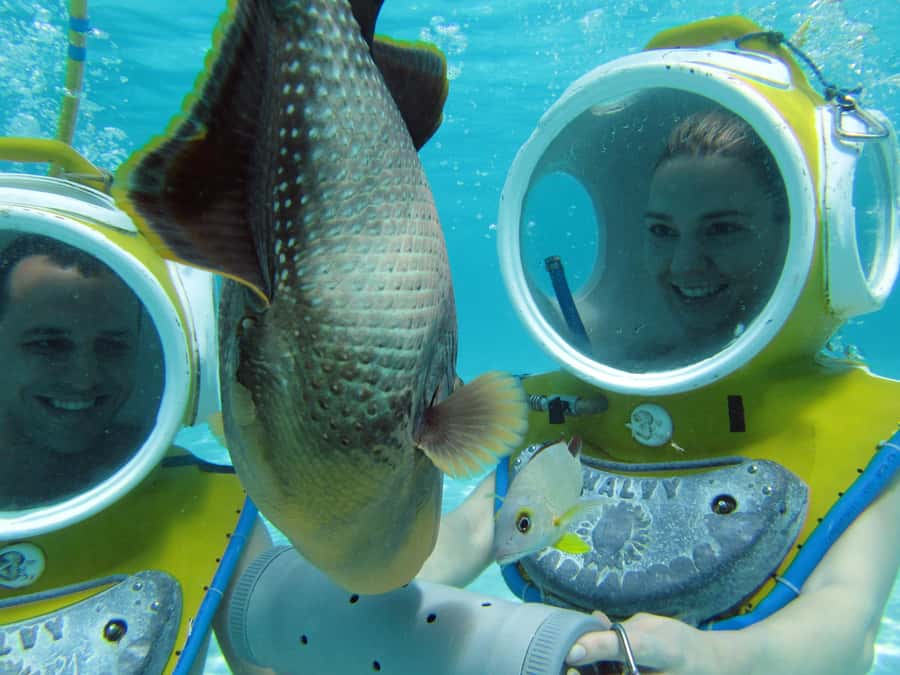 Moorea: Aquablue Helmet Underwater Walking Experience - How much value you get for $103