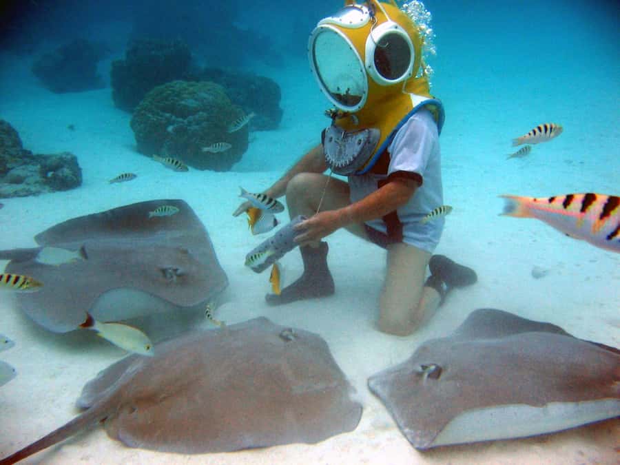 Moorea: Aquablue Helmet Underwater Walking Experience - Who should choose this Moorea activity