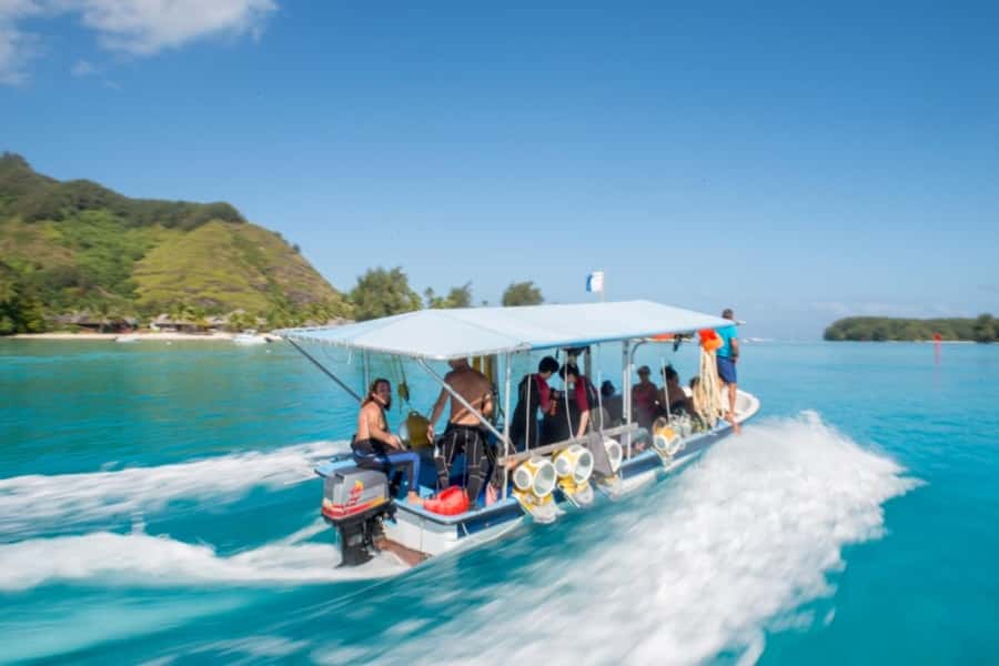 Moorea: Aquablue Helmet Underwater Walking Experience - A 10-minute boat ride into Moorea’s lagoon