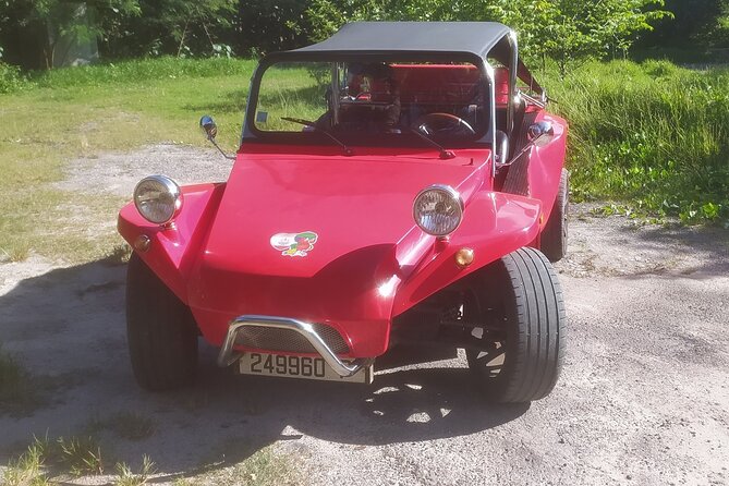 Moorea Buggy Rental - Key points to know before booking