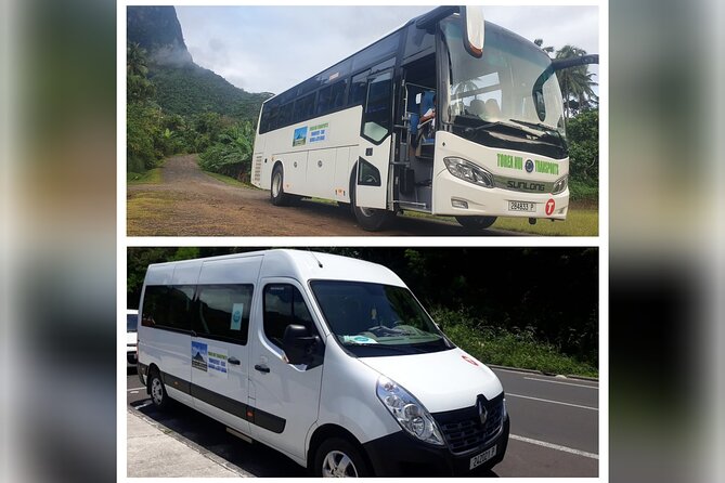 Moorea Buggy Rental - Cook’s Bay and Opunohu Bay