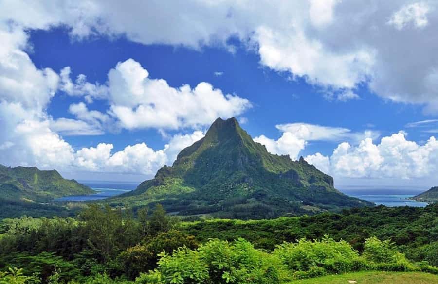 Moorea Cruise Ships 4x4, Belvedere Magic mount PRIVATE Tours - Belvedere Lookout and the volcano crater