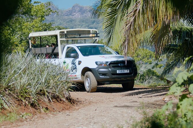 Moorea Cruise Ships: 4x4, Belvedere,Magic Mountain pineaple - Magic Mountain: The Big Scenic Payoff