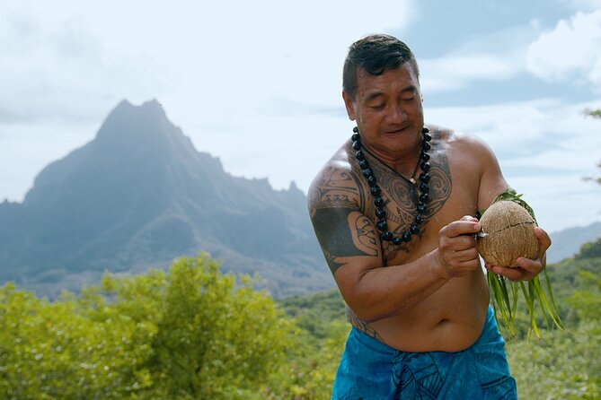 Moorea Cruise Ships: 4x4, Belvedere,Magic Mountain pineaple - Marae, Volcano Crater, and Cook’s Bay