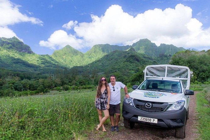 Moorea Cruise Ships: 4x4, Belvedere, Pineapple, & Magic Mountain - Pineapple country around Opunohu Bay