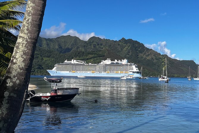 Moorea Cruise Ships: 4x4, Belvedere, Pineapple, & Magic Mountain - Cook’s Bay and Opunohu Bay