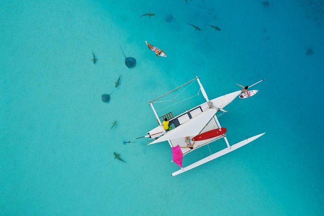 Moorea Discovery Half-day Sailing - Key points to know before you sail