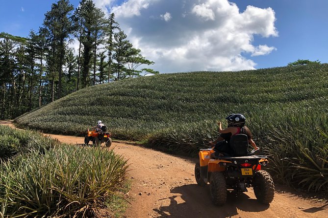Moorea Explorer Atv Quad Tour - Magic Mountain and the northern view