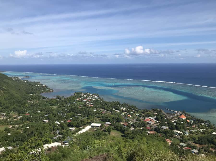 Moorea: Half-Day Open-Air 4WD Safari with Hotel Transfers - The special Cook’s Bay photo stop