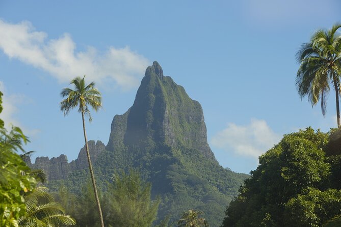 Moorea Highlights Private Tour: Natural and Cultural Attraction - The essential facts at a glance