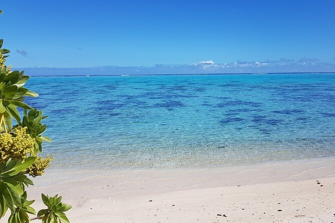 Moorea Highlights Private Tour: Natural and Cultural Attraction - Cook’s Bay supplies the big mountain panorama