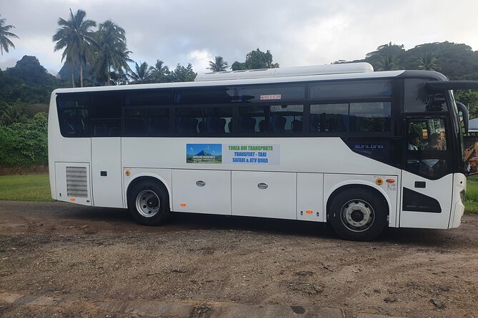 Moorea Island Tour - Meeting your guide at the cruise port