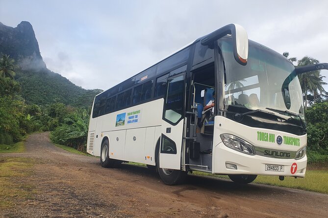 Moorea Island Tour - The ride to Belvedere lookout