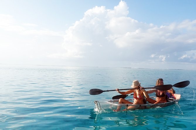 Moorea Lagoon Tour by Transparent Kayak - What the two-hour Moorea outing is really like