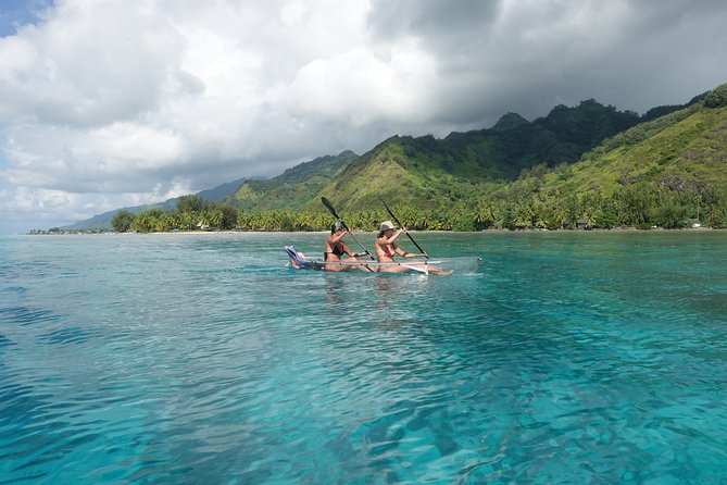 Moorea Lagoon Tour by Transparent Kayak - Snorkeling with rays and black-tip sharks
