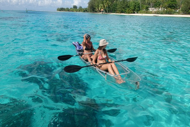 Moorea Lagoon Tour by Transparent Kayak - Moorea’s scenery, culture, and guide style
