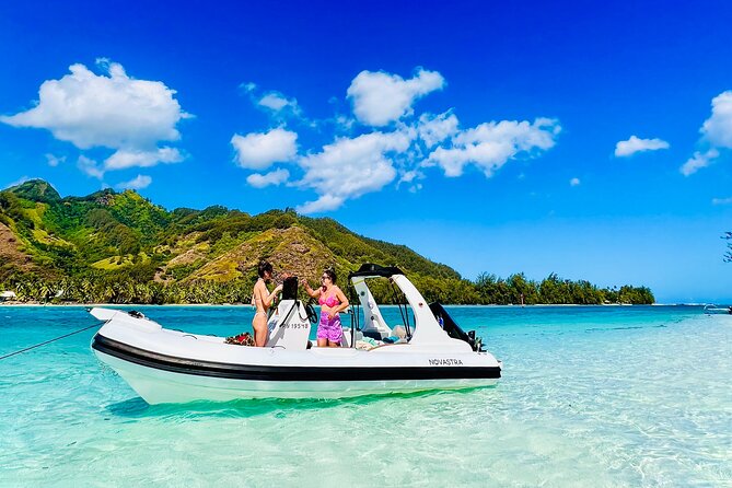 Moorea: Private 4-Hour High-End Boat Excursion - Stingrays And Black-Tipped Sharks At The Sandbank