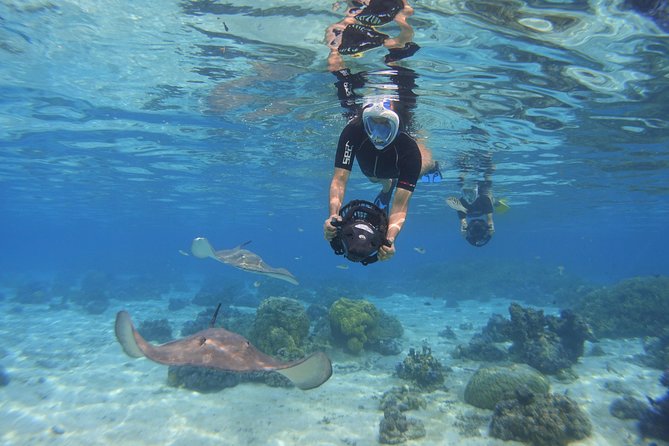 Moorea Private Boat Tour / Sea Scooter Snorkeling Tour - The guide, captain, and instruction on the water