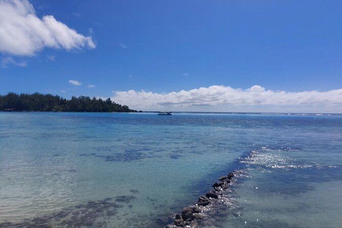 Moorea Private Full Day Tour - Rotui brings fruit, juice, rum, and local flavor