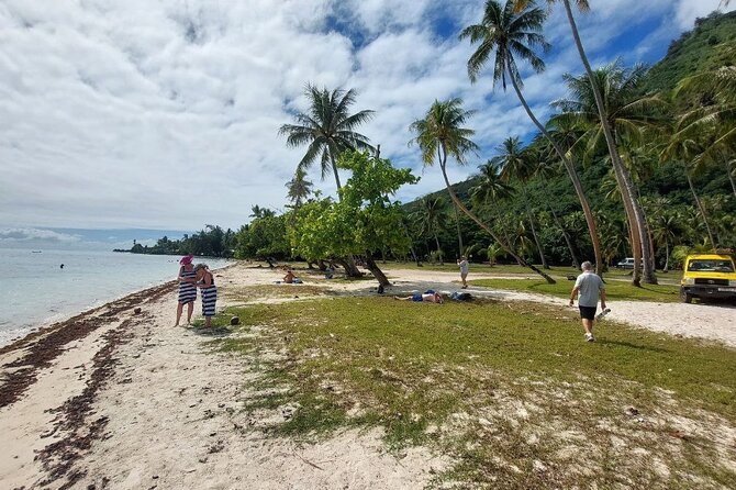 Moorea Private Full Day Tour - Belvedere Lookout and Opunohu Bay show Moorea at its best