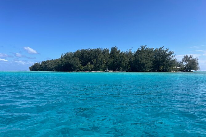 Moorea: Private Snorkeling Tour with Certify Guide - One hour cruising through Opunohu Bay