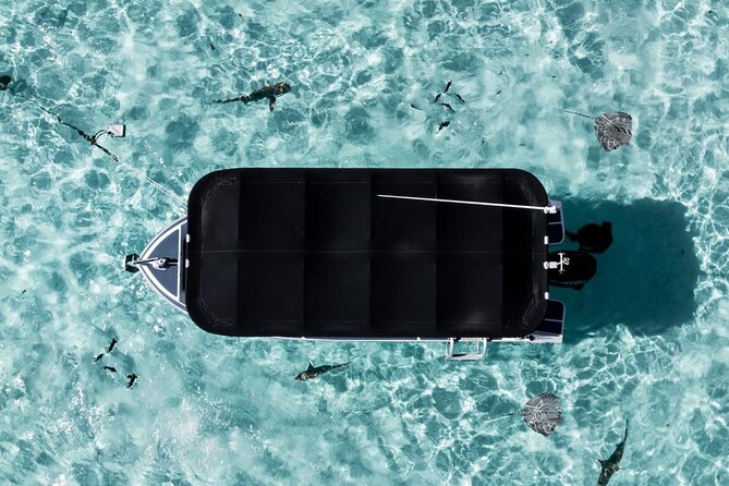 Moorea: Private Snorkeling Tour with Certify Guide - Who will get the most from this outing