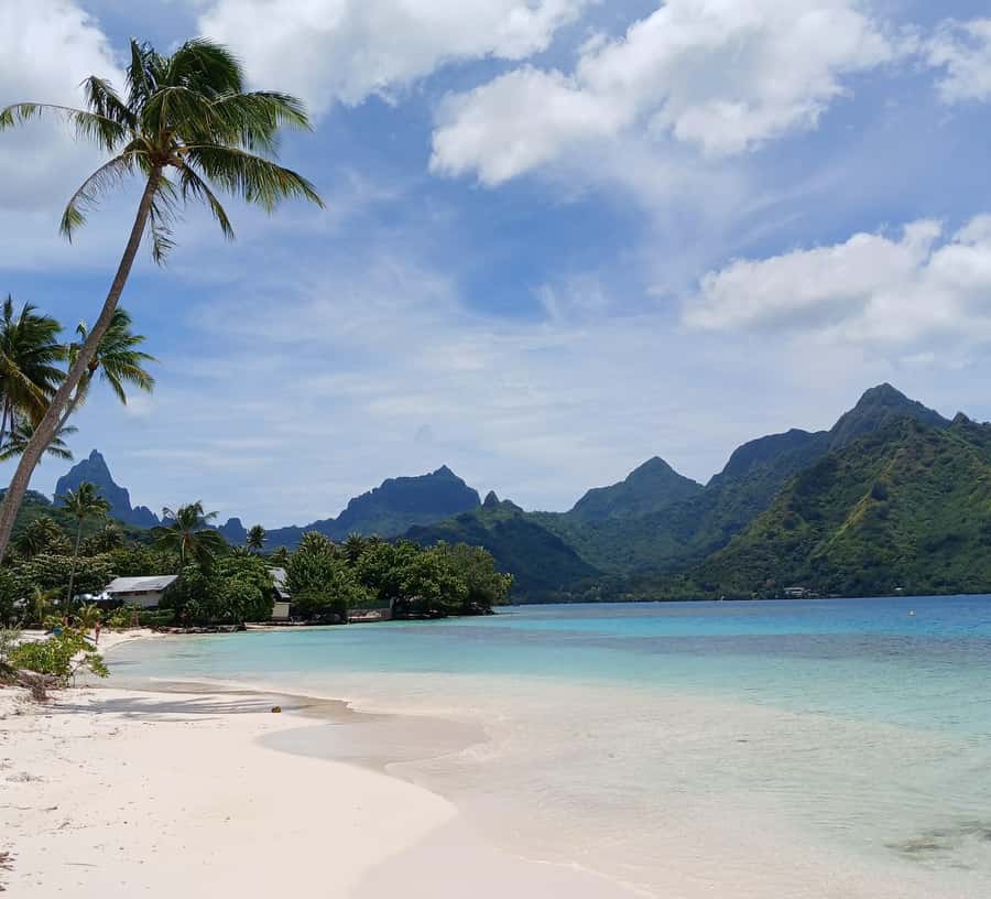 Moorea : Safari Nature and Culture Tour with local guide - Walking through the Opunohu archaeological site